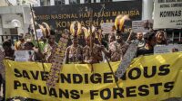 Awyu Tribe Protests Customary Forest Turned into Oil Palm Land Palmoilmagazine