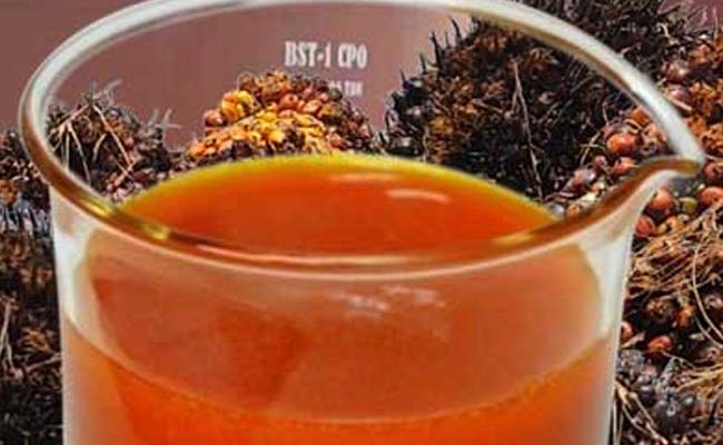 Possible Decrease in CPO Prices in 2024 Palm Oil Magazine