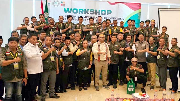 Apkasindo: Unveiling Five Reasons Behind Smallholders Gradual ISPO Implementation Palm Oil Magazine