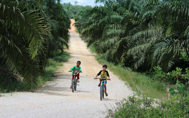 Social Impact Assessment in Plantation Company Palm Oil Magazine