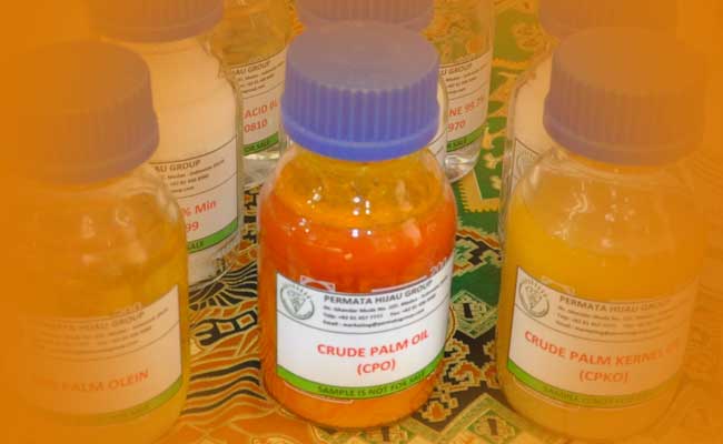 Decline in Palm Oil Trade in China from 2019 to 2022 Palm Oil Magazine