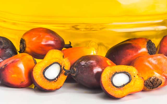 Solidaridad and CPOPC Collaborate to Promote Smallholders Supply Chain Access to the European Union Palm Oil Magazine