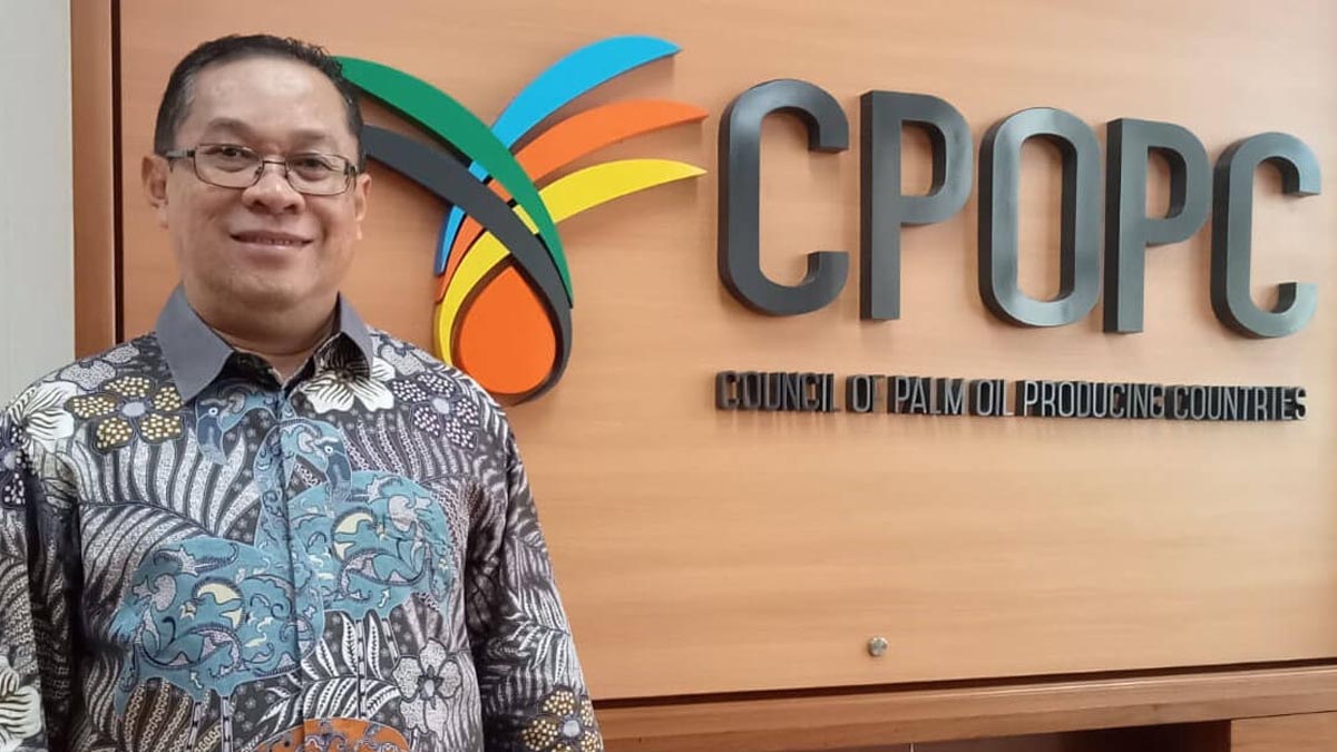 palm oil magazine