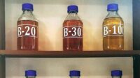 Exceeding Targets: Palm Oil Biodiesel Utilization Reaches 12.2 Million Kl in 2023 palm oil magazine