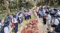 To Escalate Palm Oil Quality in Central Sulawesi Province, 54 Smallholders from Regency of Morut Joined Palm Oil HR Training palm oil magazine