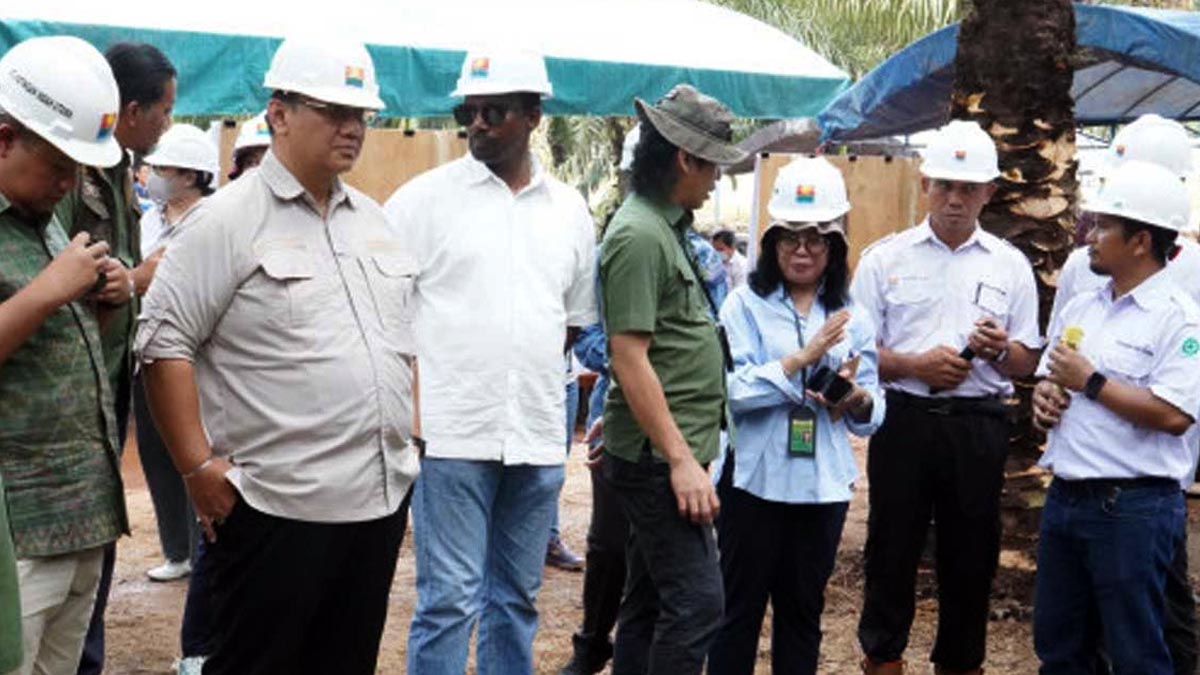 Ombudsman Uncovers Maladministration in Kotim Palm Oil Plantation Governance Palm Oil Magazine