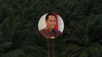 Presidential Regulation (PR) Number 132/2024: A Strategic Step for the Future of Indonesia’s Plantation Industry Palm Oil Magazine