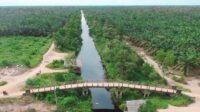 Optimal Rainfall: Key to Successful Palm Oil Plantation Cultivation Palm Oil Magazine