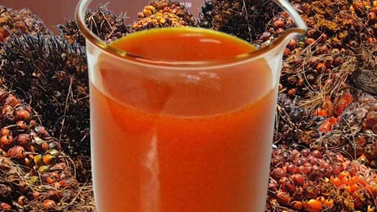 CPO Prices at KPBN Inacom Drop 0.93% on Friday (Jan 17), Weekly Prices Fall 0.52% Palm Oil Magazine
