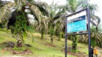 Palm Oil Export Levies Hit Rp28 Trillion, Paving the Way for Sustainable Smallholder Empowerment Palm Oil Magazine