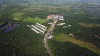 Palm Oil Magazine
