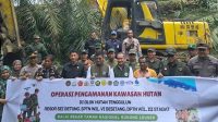 59 Hectares of Illegal Oil Palm Cleared in Gunung Leuser National Park as Government Begins Forest Restoration Palm Oil Magazine