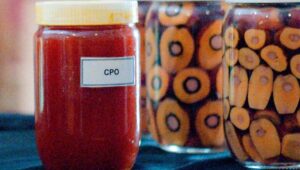 Palm Oil Magazine