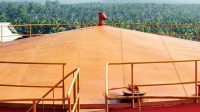 Palm Oil Magazine