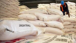 Indonesian Government Cuts Subsidized Fertilizer Prices by 20%, Marking a New Era for Farmers