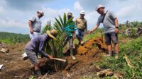 Palm Oil Magazine