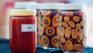 Palm Oil Magazine, CPO Price